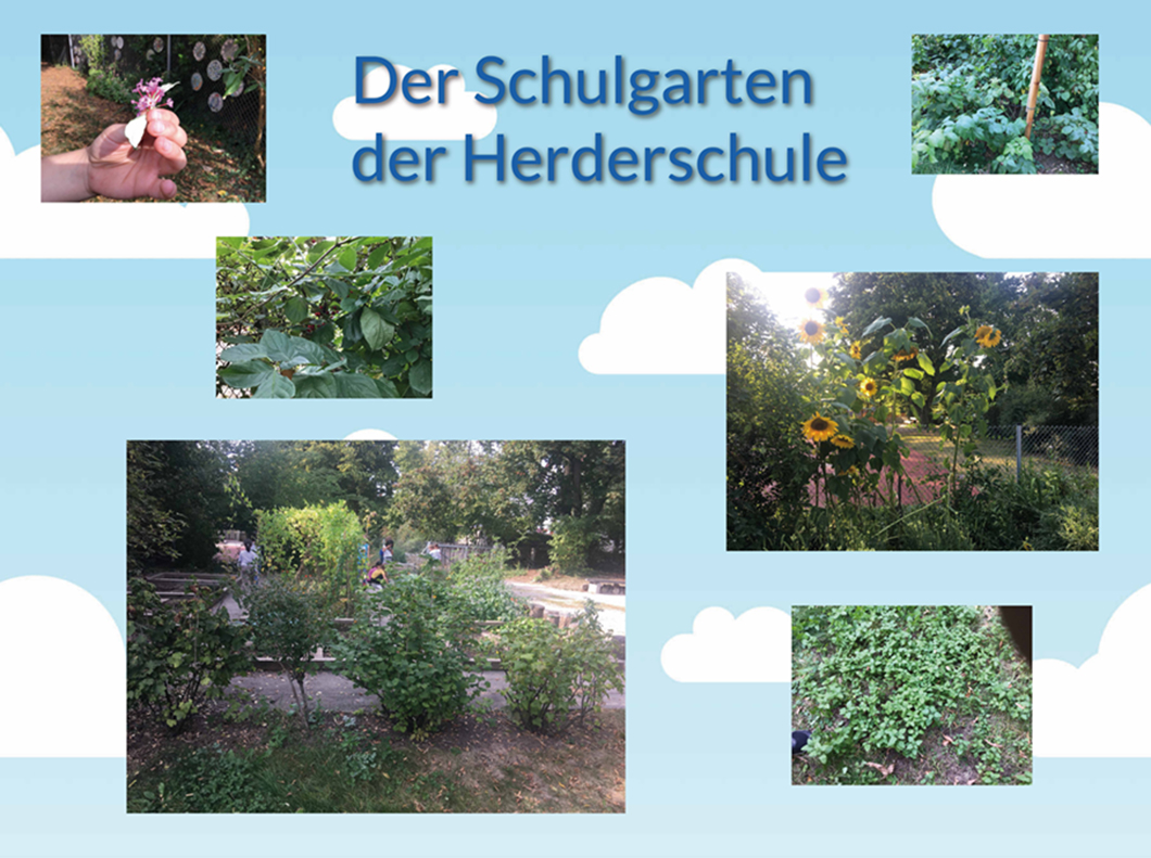 Der Schulgarten der Herderschule Esslingen
